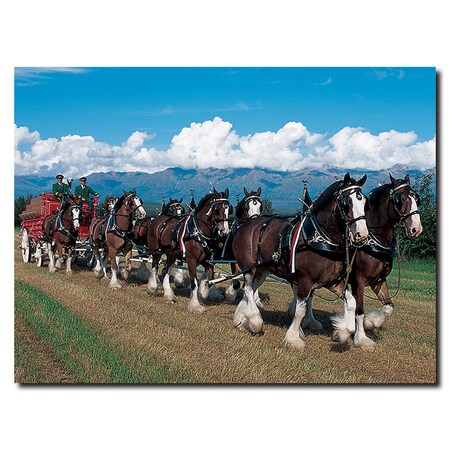 Trademark Fine Art Clydesdales in Blue Sky Mountains - 24 x 32Canvas, 24x32 AB285-C2432GG